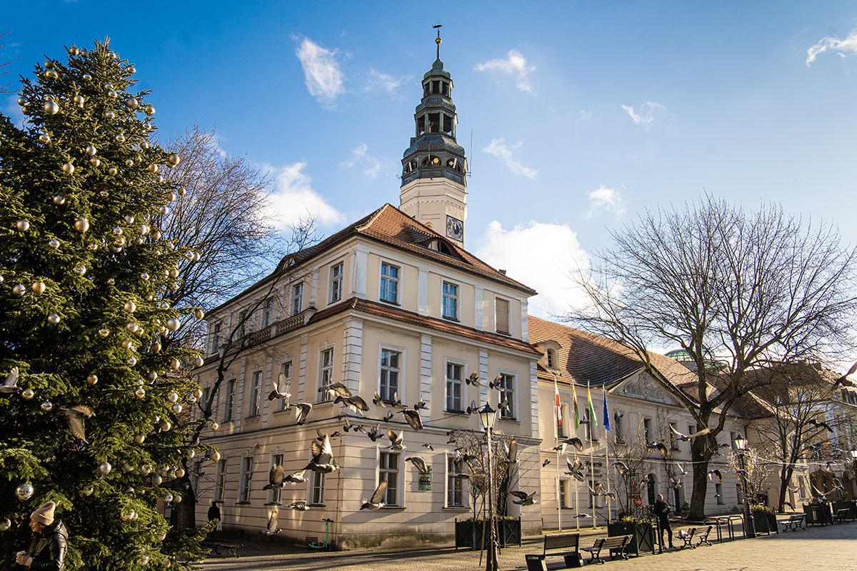 12345 Ratusz w Zielonej Górze