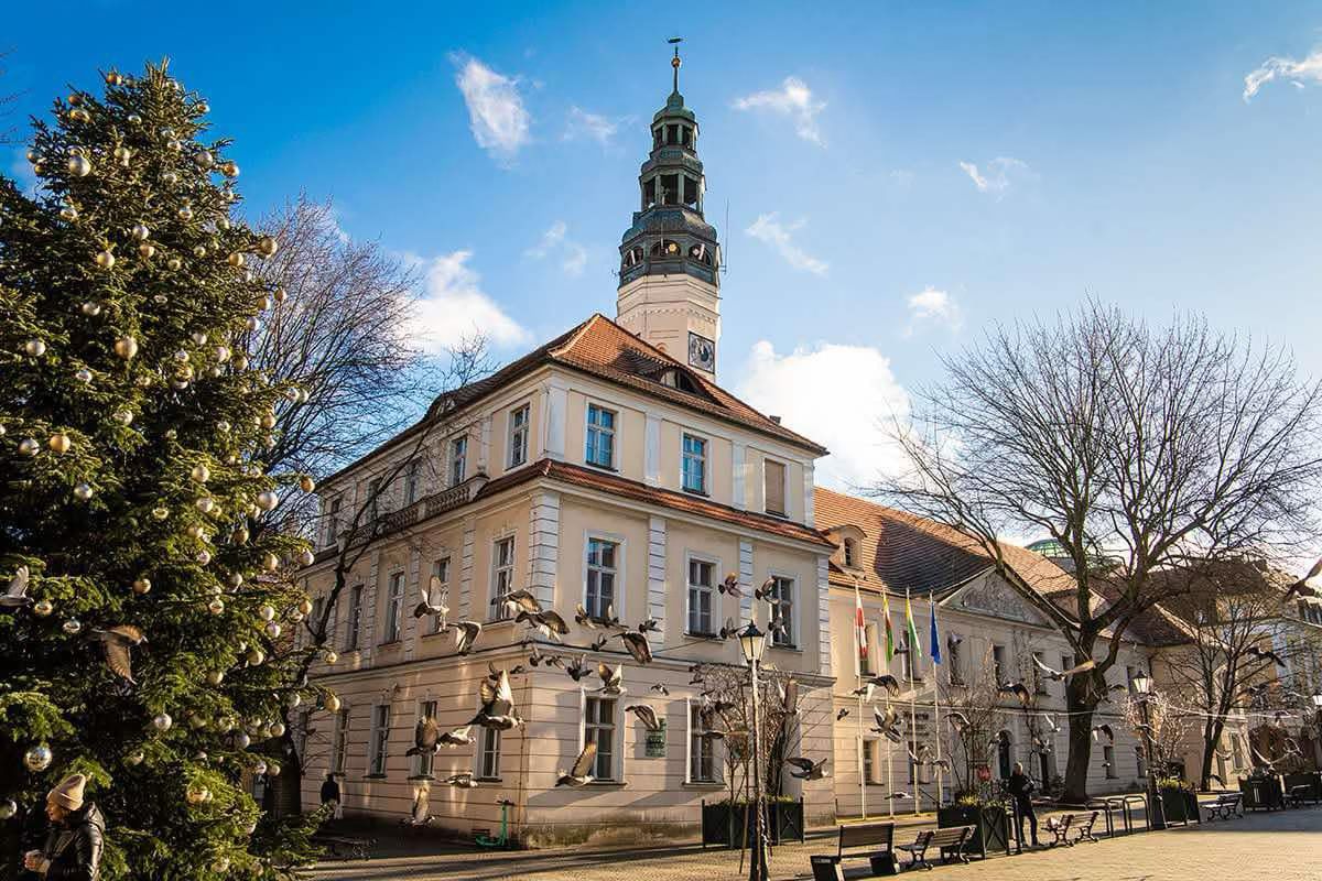 Ratusz w Zielonej Górze.