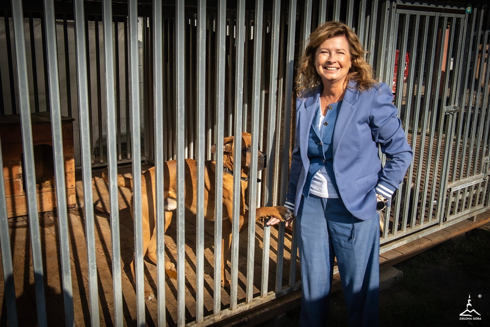 3 Schronisko dla bezdomnych zwierząt w Zielonej Górze