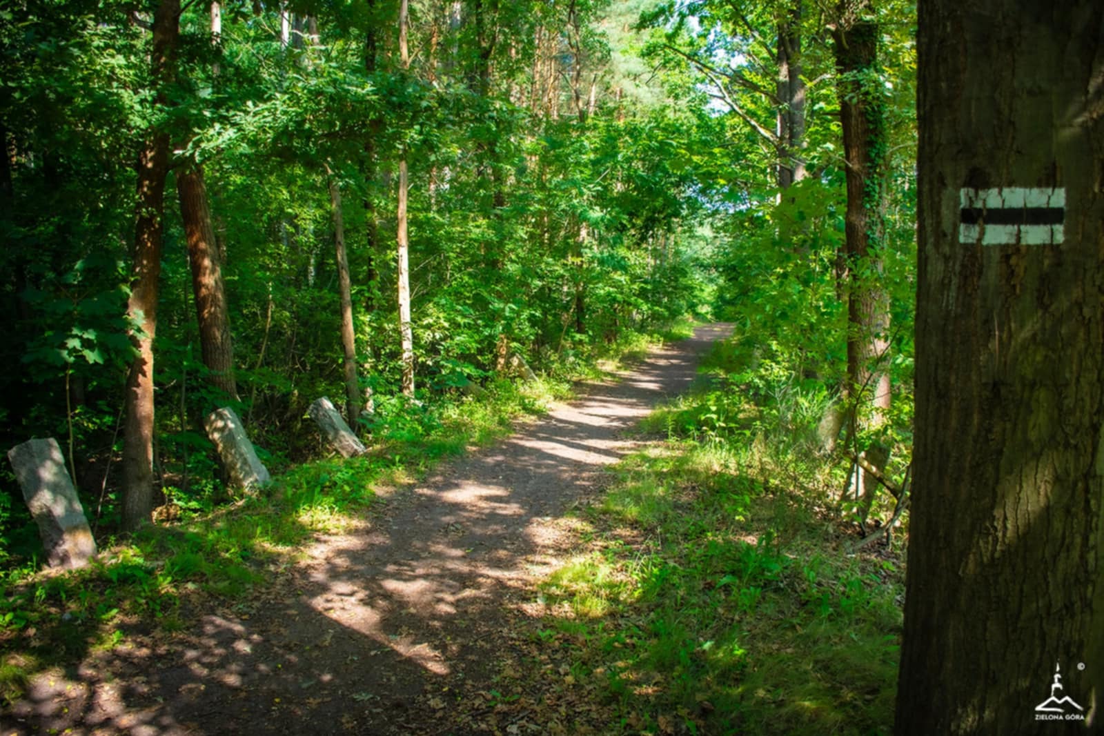 ab65de21-3cd7-4ea1-b453-4cc73457fe9e