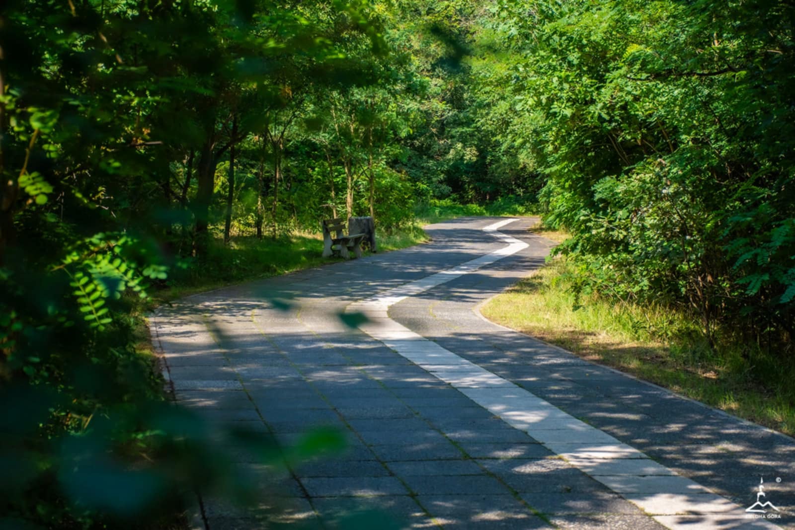 bee78db5-46d6-4f2f-b692-db6378805b67