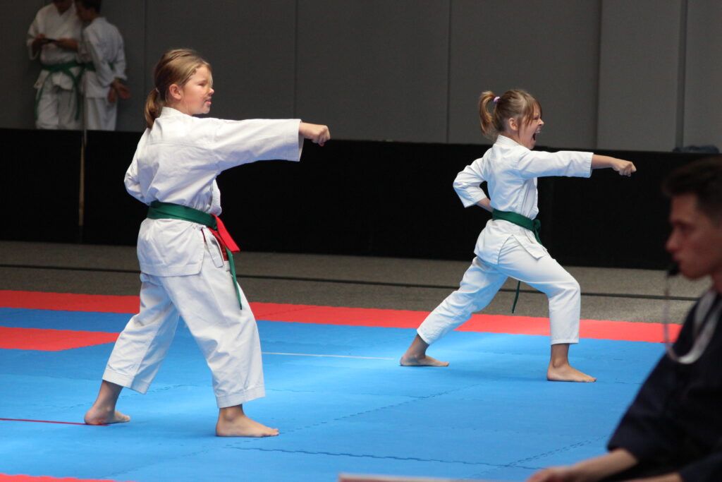 Zawody Midoriyama Cup, których organizatorem jest ABiRO Zielona Góra, odbyły się już po raz czwarty