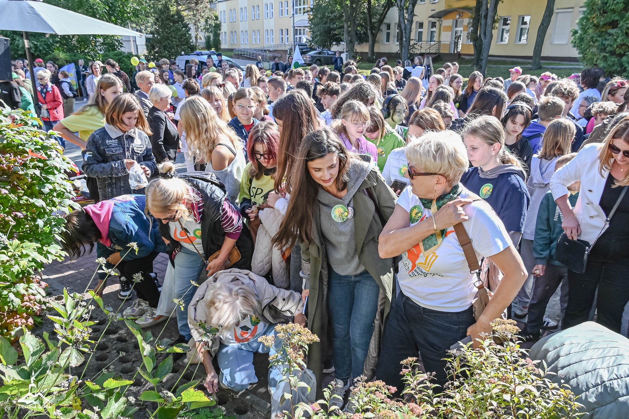 555907730_122141162120852112_5742538268045600486_n