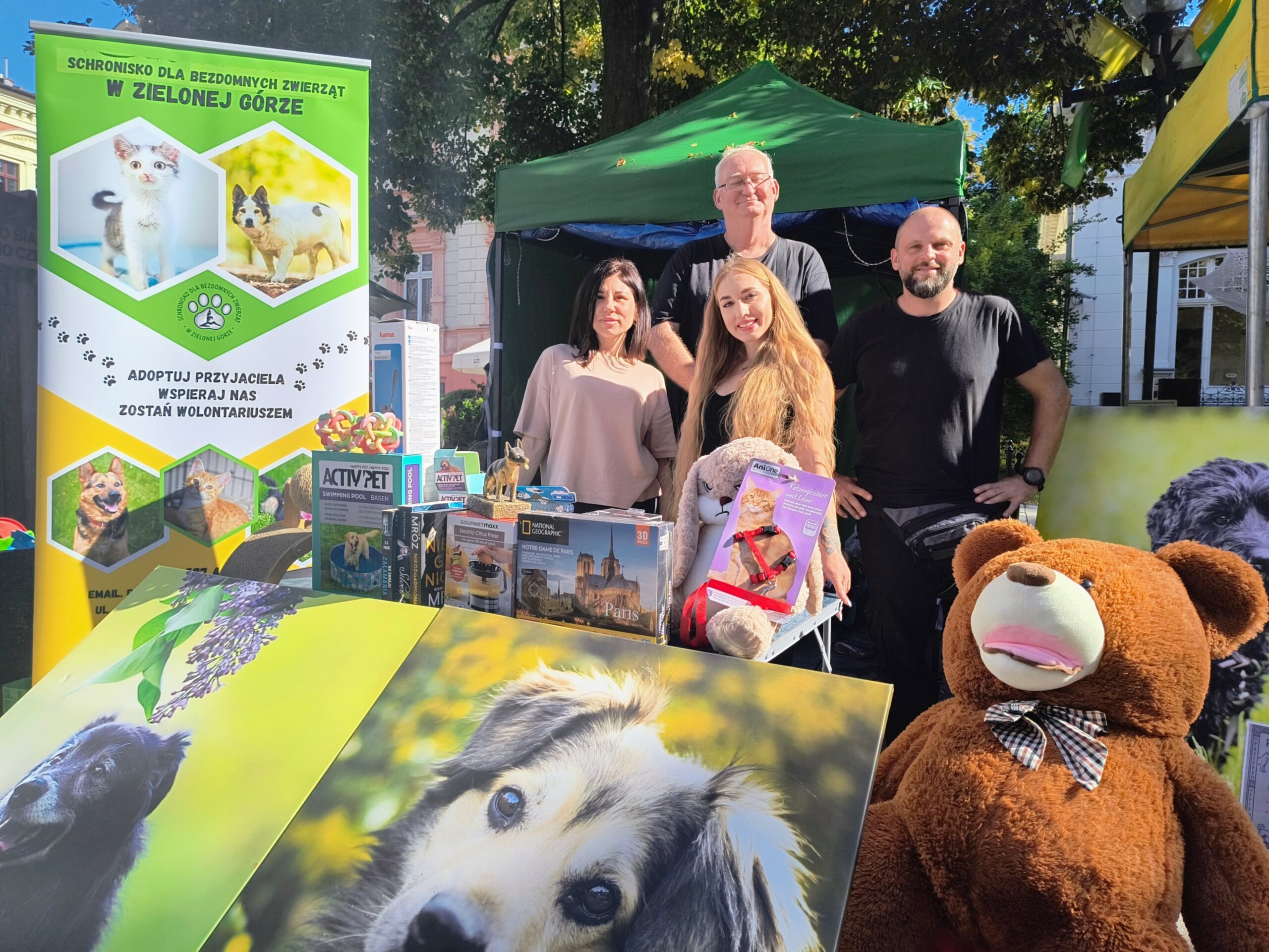 a9b3ac91-0302-4a19-bec3-1155178dd0cf