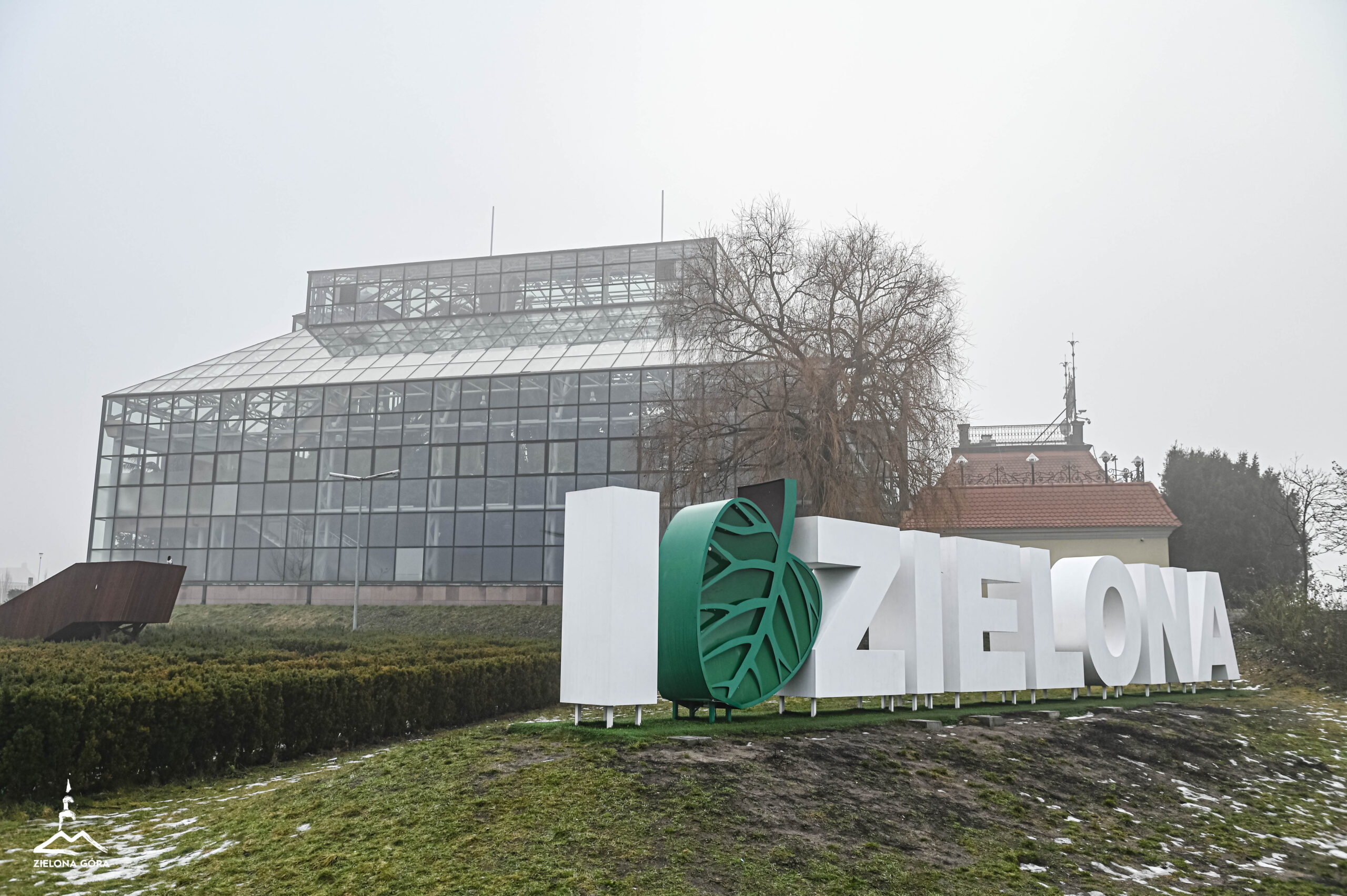 Palmiarnia - styczeń 2026.