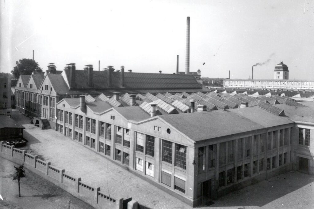 Zielona Góra Gra w Oscarowym Filmie.