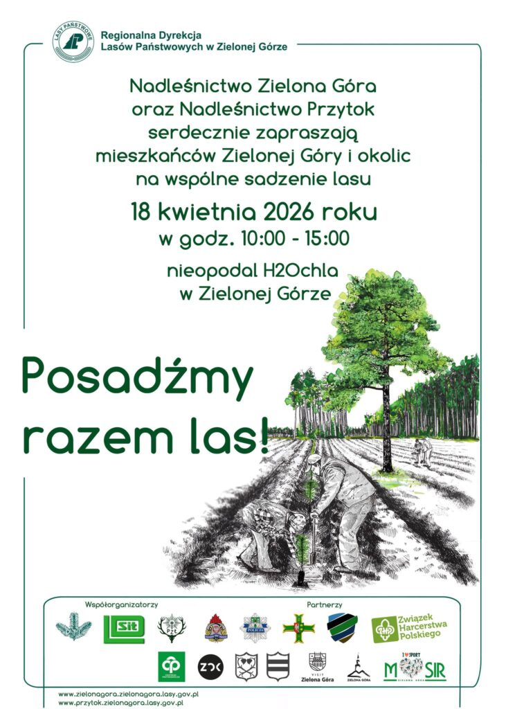 Sadzenie 2026 - lasu 1.