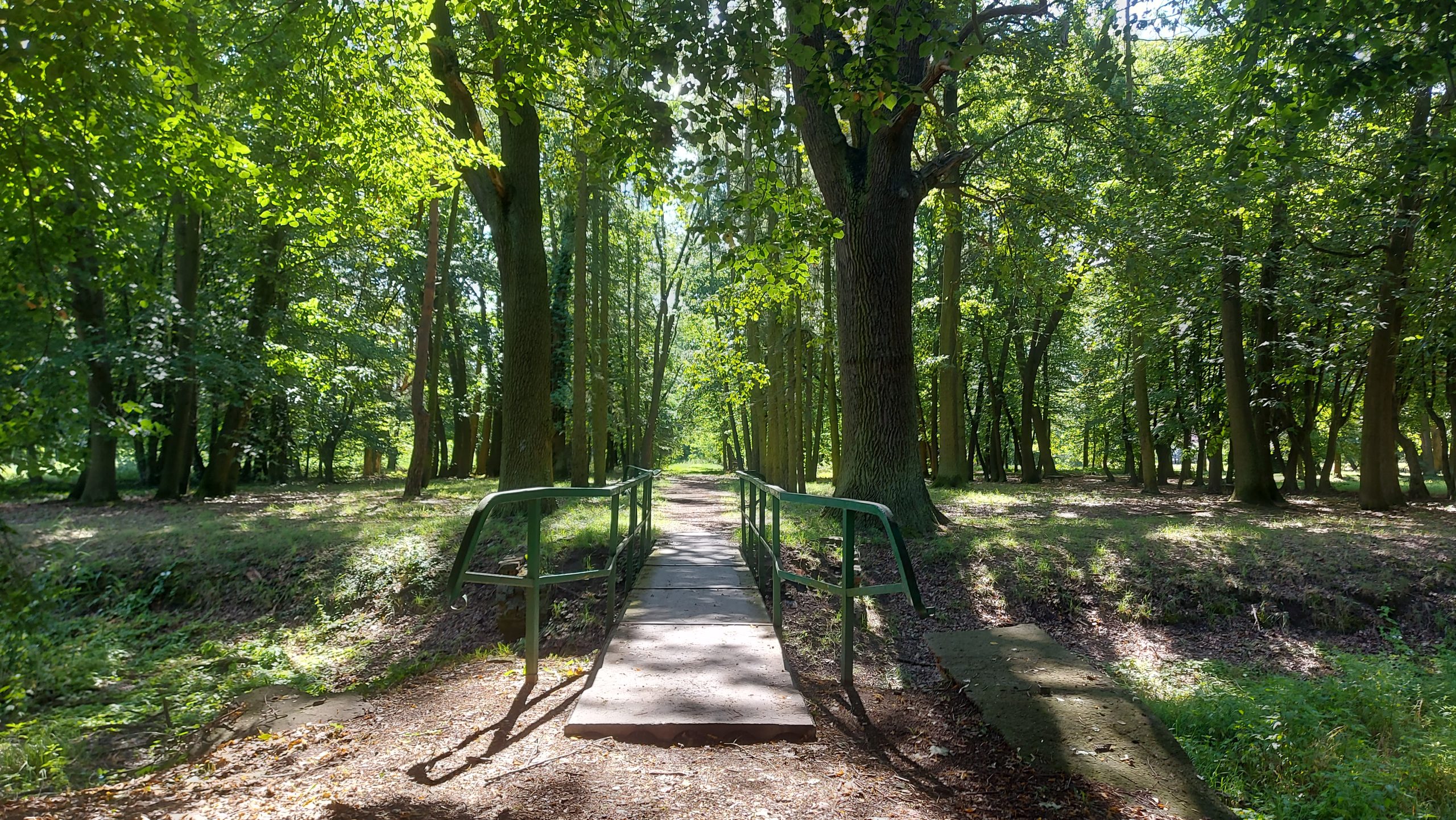 luk-bojadla-park-1